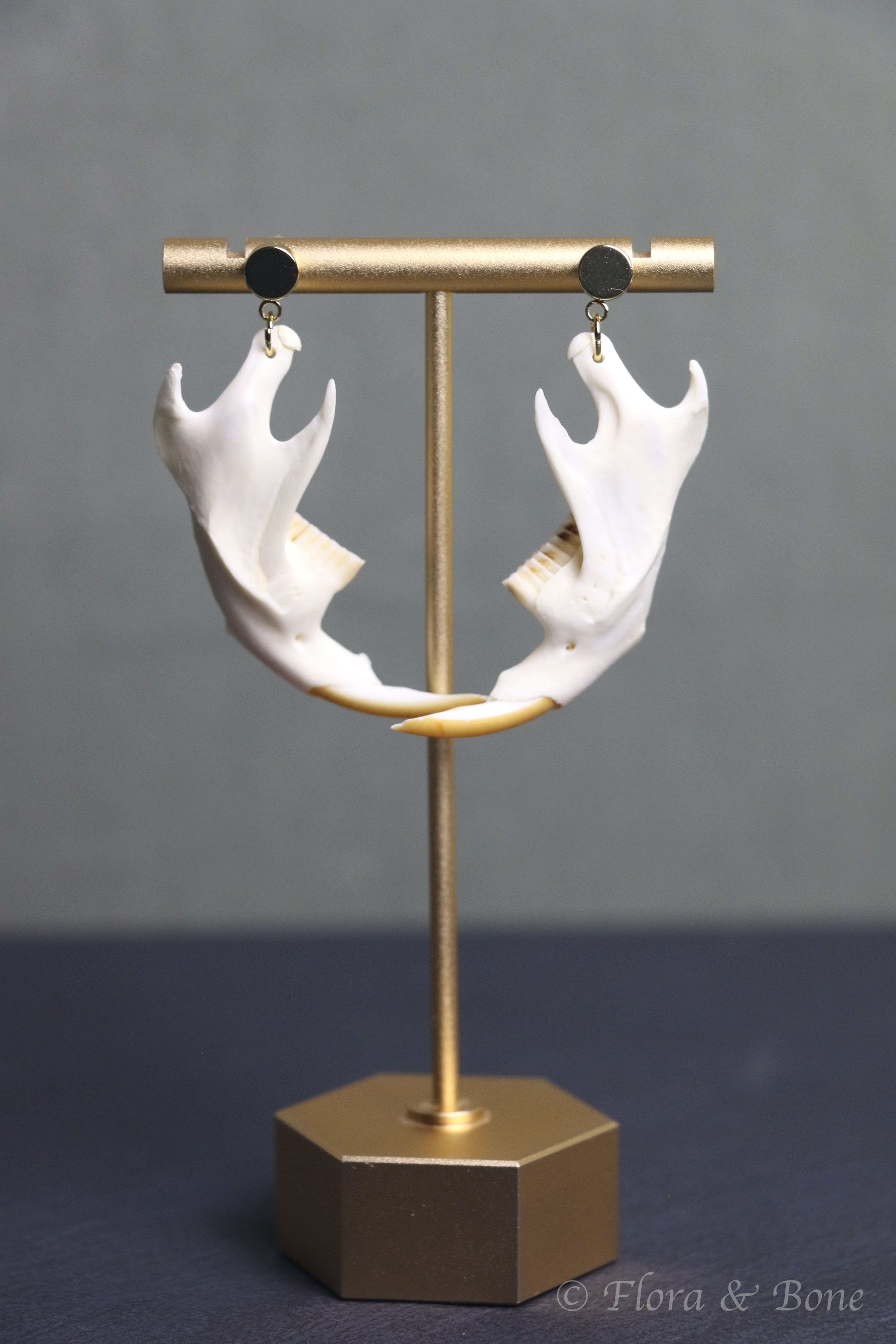 Muskrat Jawbone Earrings