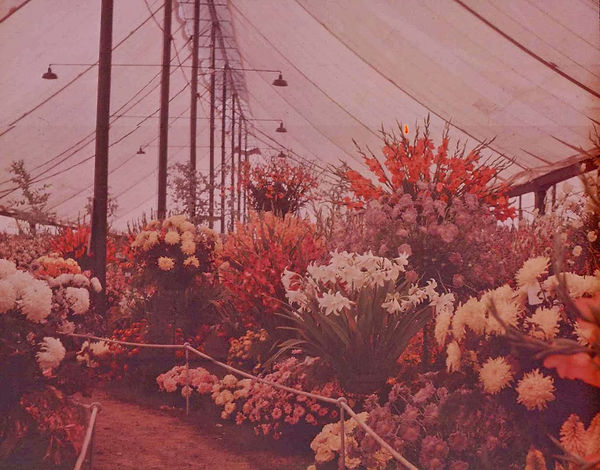 southportshow1938a.jpg