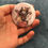 Miniature : PIN Animals