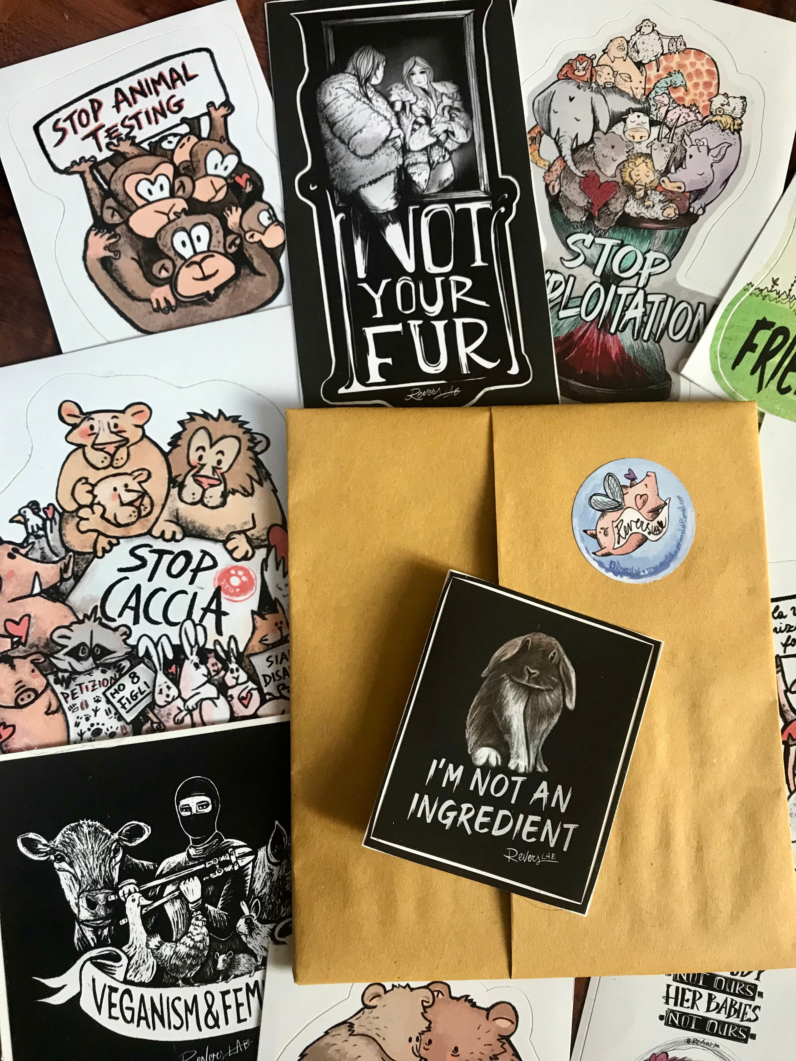 SPECIAL BOX 10 adesivi !