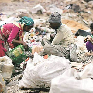 Pick your Misery: Survival or Sickness?