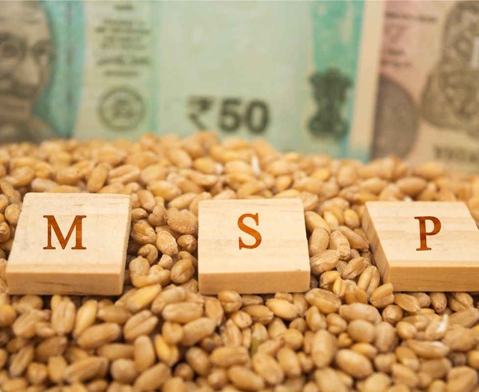 MSP and Beyond: Reforming India's Agrarian Economy