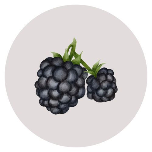 Due more succose more di gelso