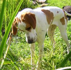 DSCN9431.JPG