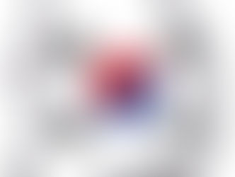 2016 Member of National Team for Skin Care!