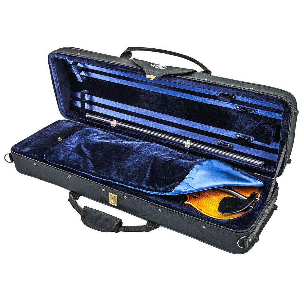Thumbnail: SKY 4/4 Full Size Violin Oblong Case Lightweight with Hygrometer Three Colors