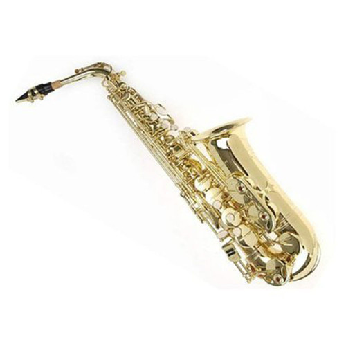 Sky E Flat Lacquer Alto Saxophone F Key with Case Mouthpiece and 10