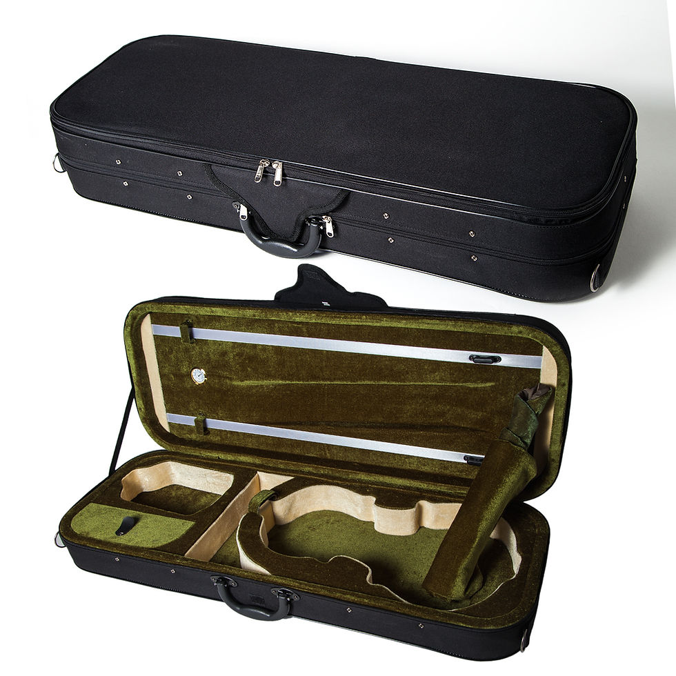 Thumbnail: SKY 15.5-16 Inch Viola Oblong Case Lightweight with Hygrometer Black/Green