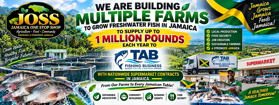 fish farm ja.jpg