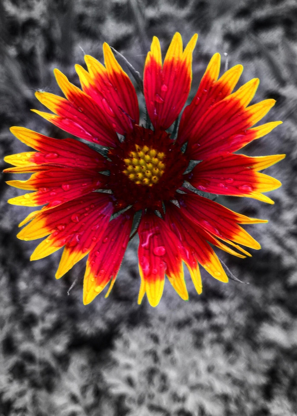 3041AB98-41A8-4A77-BCFD-6F9018E36F87