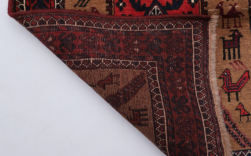Thumbnail: F544- Beluch Carpet