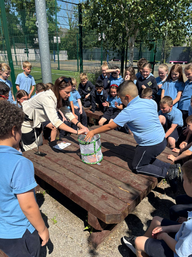 Butterflies Take Flight in Our Sensory Garden!
