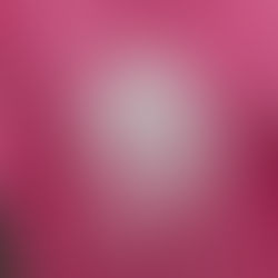 Pink Day and Mid-term Reminder!