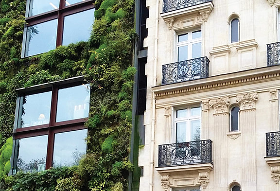 The Practice of Biophilic Design - A Simplified Framework