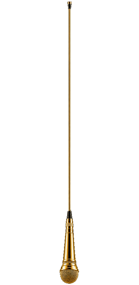 bigwork-gold-mic-swing.gif