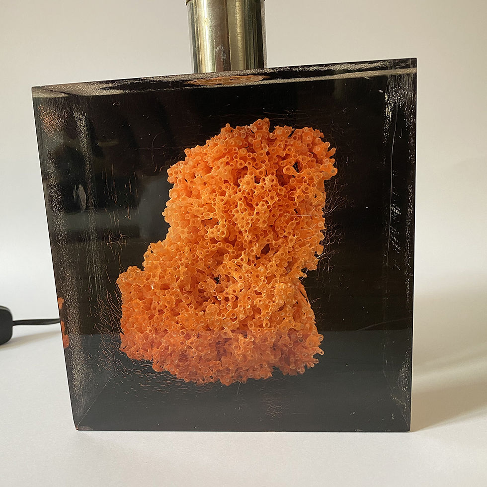 Miniature : Lampe en acrylique avec inclusion de corail par Pierre Giraudon, années 70.