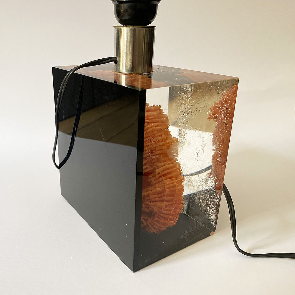 Miniature : Lampe en acrylique avec inclusion de corail par Pierre Giraudon, années 70.