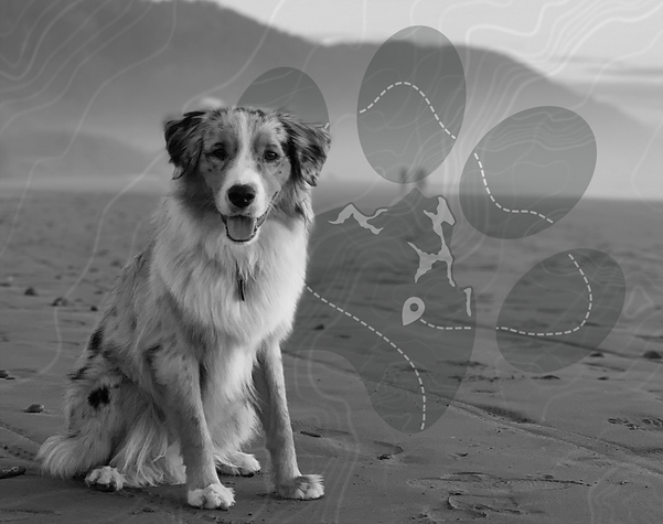 IMG_4488.png