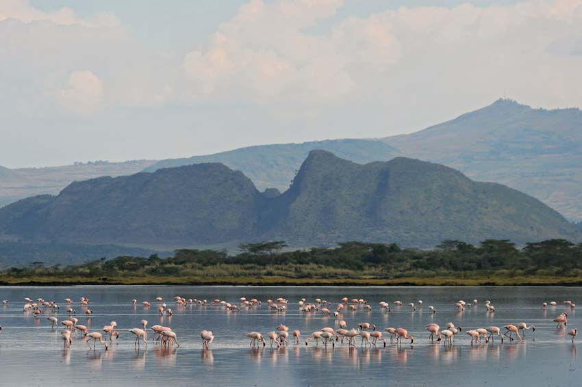 The Rift Valley with flamingoes, Kenya, film still from the documentary Wind Shadows by Carole Ryavec, Carmic Productions