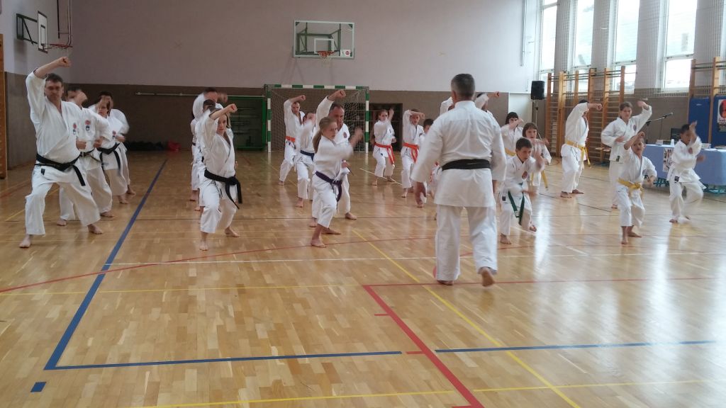 Shotokan karate DO klub Ruše