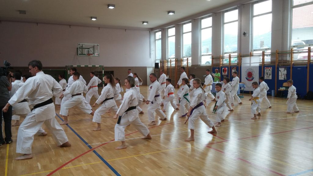 Shotokan karate DO klub Ruše