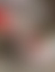 Magazine Design Project