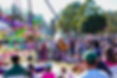 Day 2 Horses Birthday weekend 2023-119.jpg