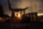 IMG_8804.jpeg