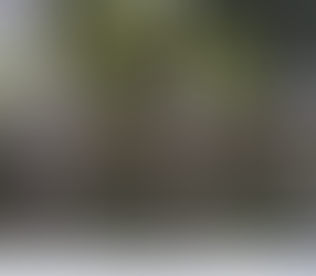 Remembering the Musami Martyrs