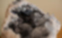 DSCF0632_r.jpg