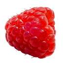 raspberry_png_by_bunny_with_camera_dcamhx9-fullview.png
