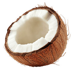 pngtree-coconut-fruit-png-image_13397671.png