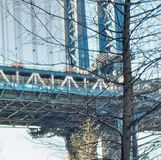Manhattan Bridge seen through trees, NYC skyline