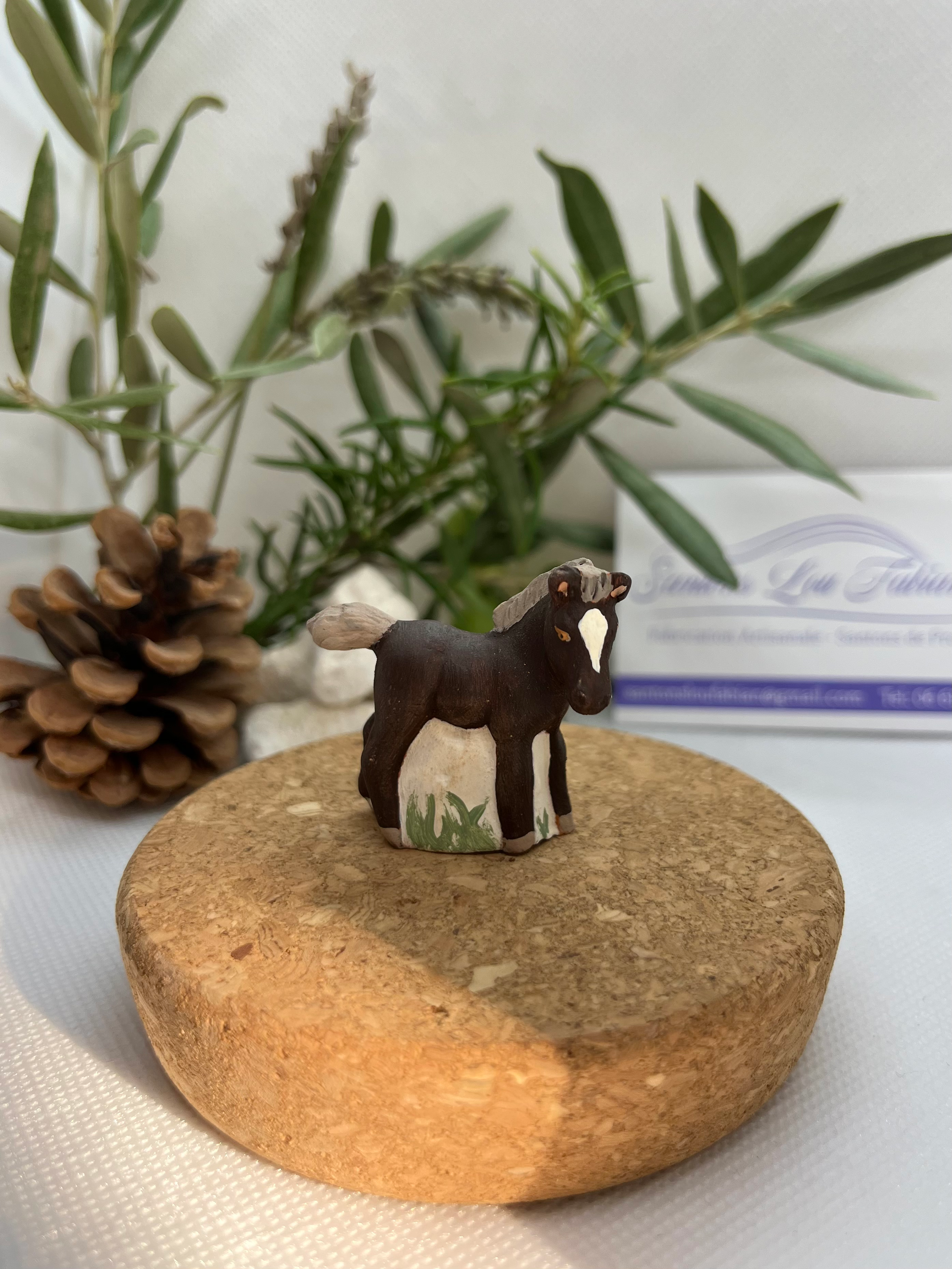 Le poulain camarguais chocolat