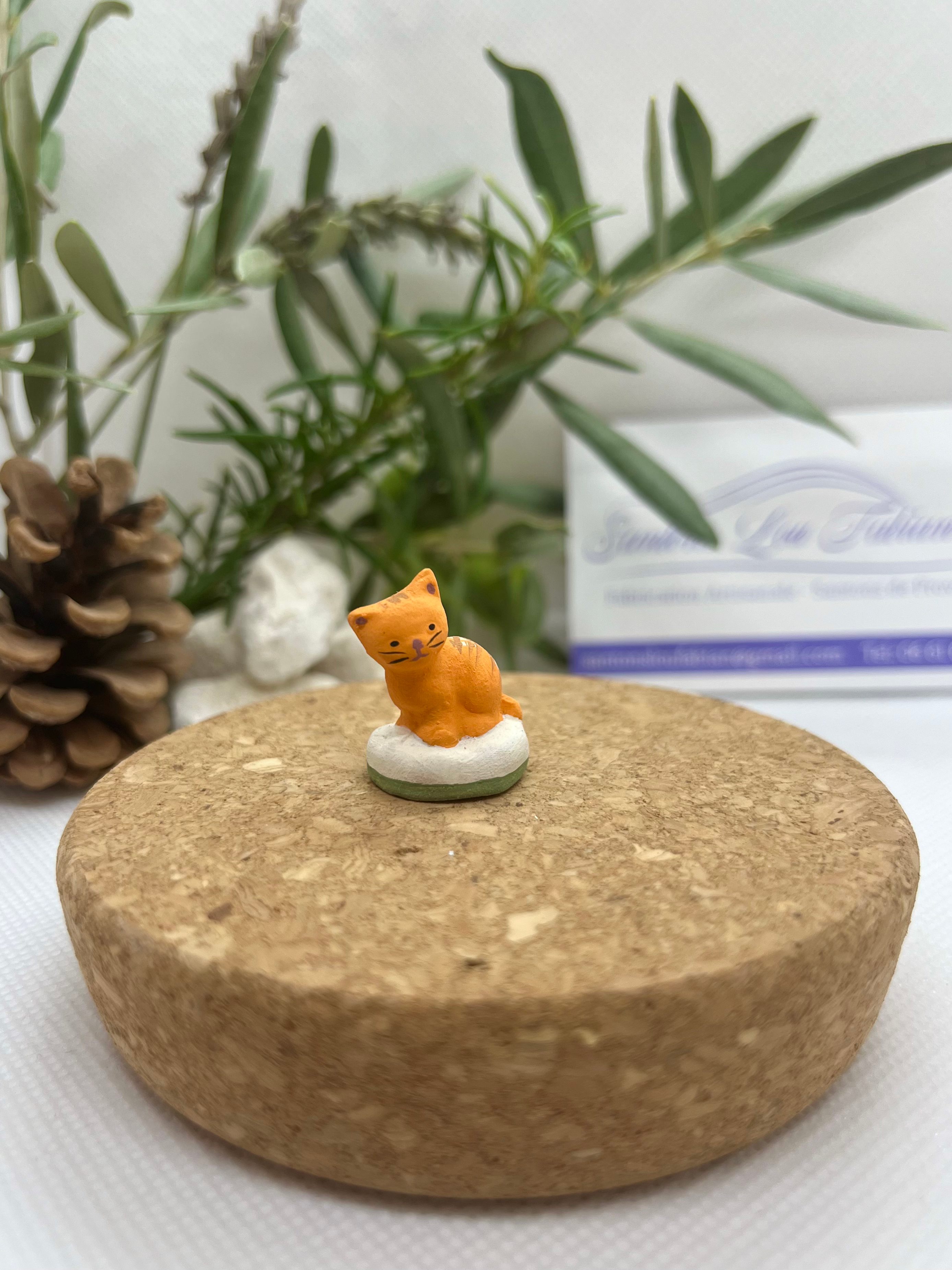 Le chat roux