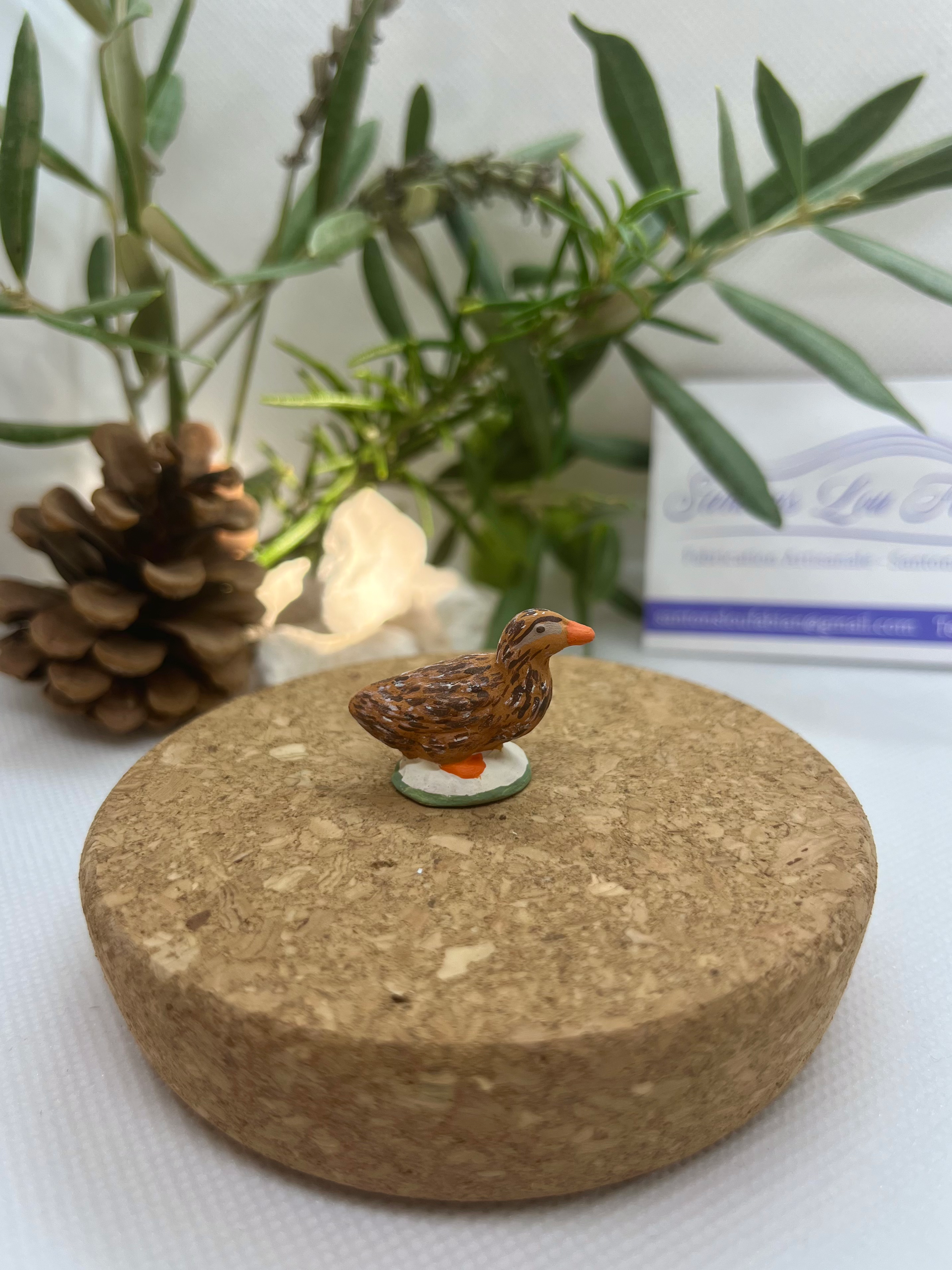 La cane colvert