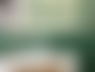 Master Bathroom Renovation in Overland Park, KS: A Bold and Modern Transformation