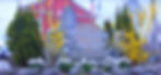 CamTownCenter_e.jpg