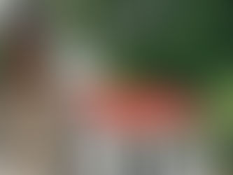 Standing Seam Metal Roof | Collaboration with Garage Experts | Woodstock, Virginia