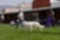 DSC00426.jpeg