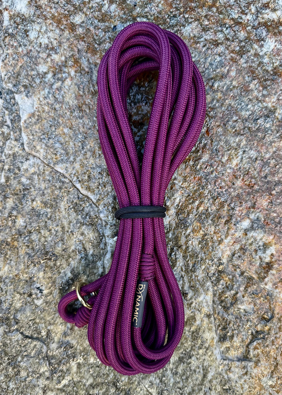Thumbnail: Dynamic 15ft Long Line - Brass Hardware & No Backup