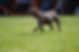 DSC00650.jpeg