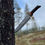 Miniatyrbilde: Custom Bowie Knife Native Style