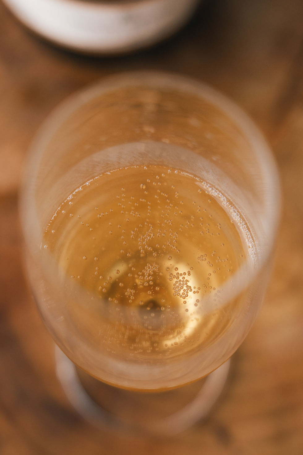 FINAIS - BERTO-21.jpg