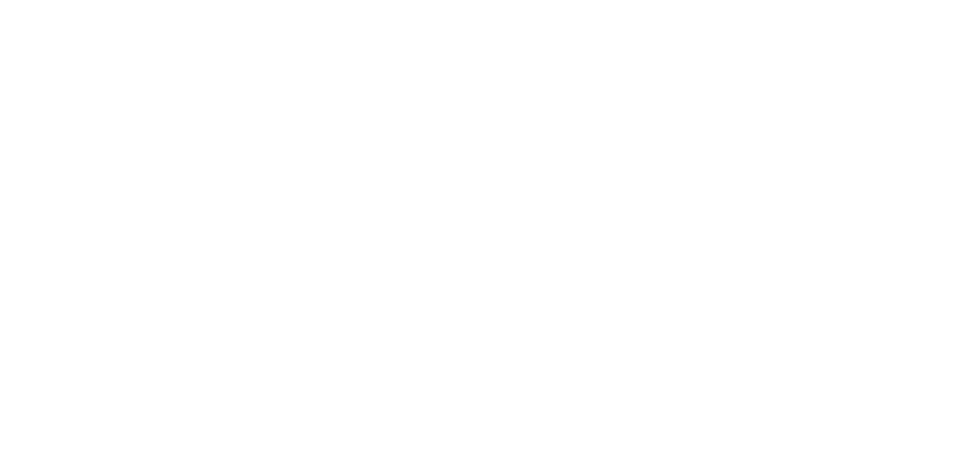 pvb dani_Mesa de trabajo 1 copia 2.png