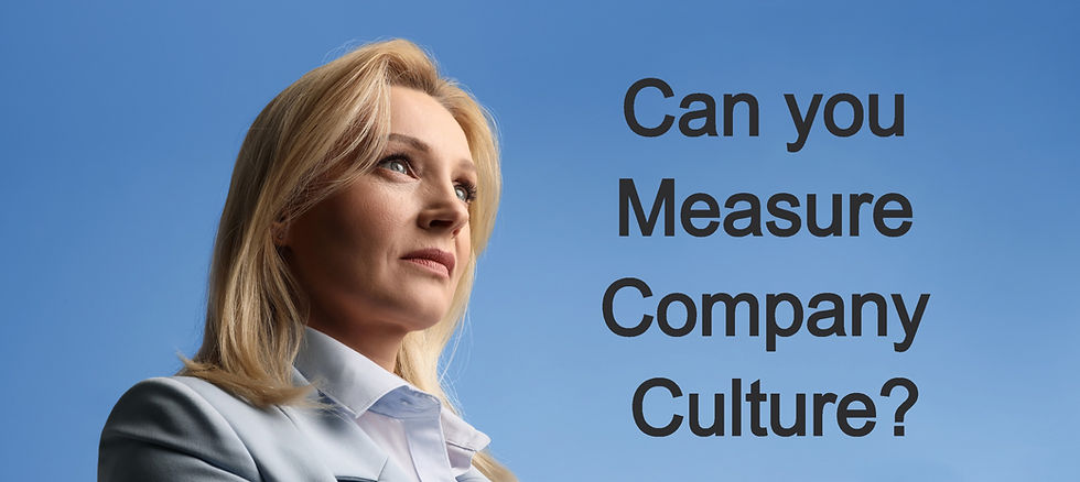 employee referrals 0/1–2 cultural fit 0/1–2 measure company 1/3–7 hiring managers 0/1 organization's mission 0/1–3 productivity metrics 0/1–2 strong culture 0/1 culture 24/48–83