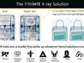 Intelligence sui container/raggi X: confronta il carico con le dichiarazioni