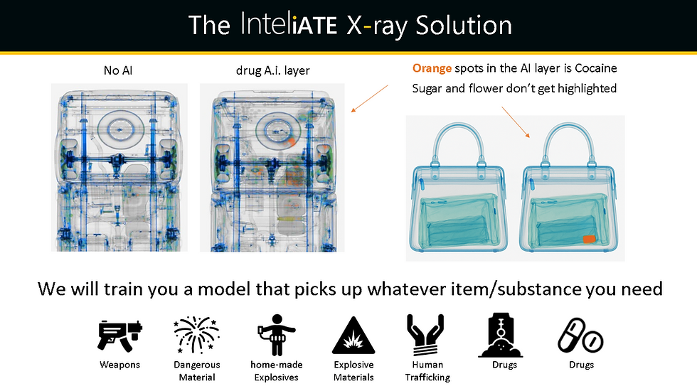 Scheda di decisione: verde/ambra/rossa con conteggio degli elementi e immagini di prova