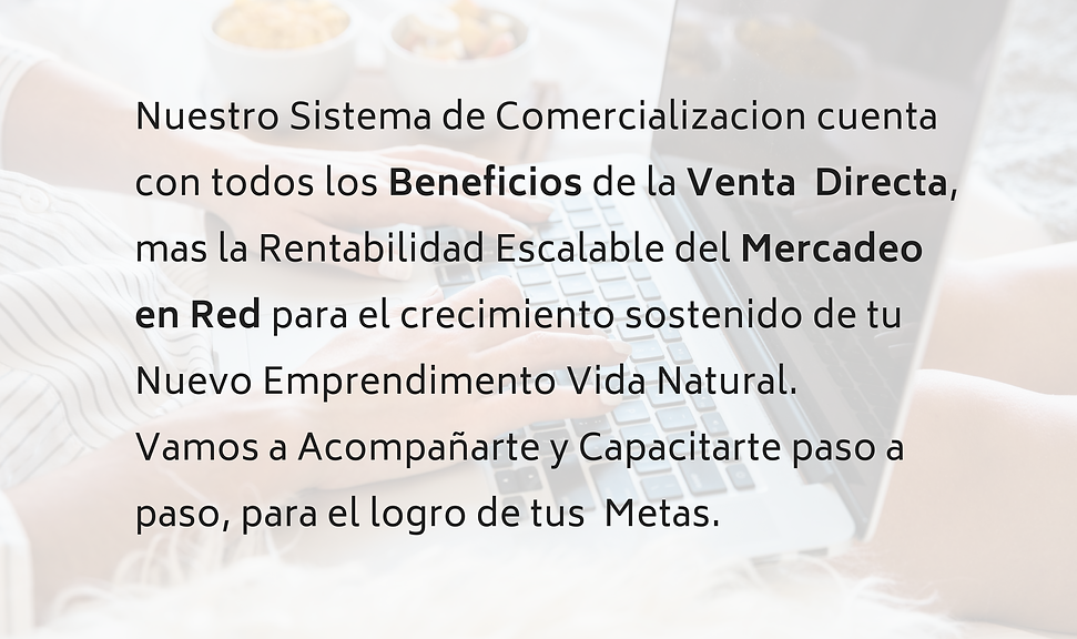 Banner Wix - 2026-01-29T160441.968.png