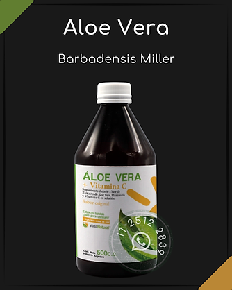 IG - 1080 x 1350 - 2025-12-08T201919.062.png